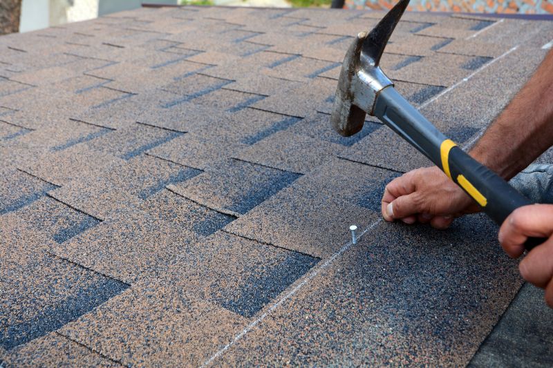 Shingles Repair