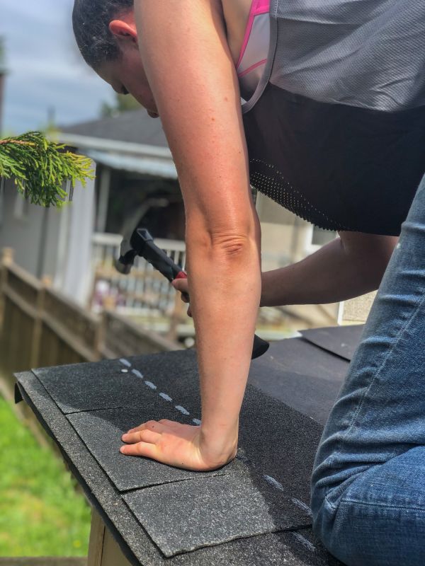 Shingles Repair