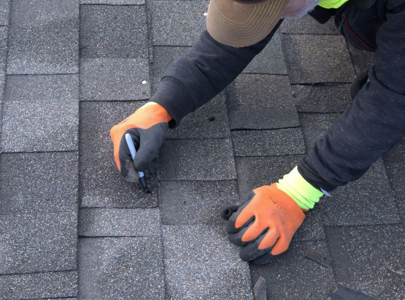 Shingles Repair