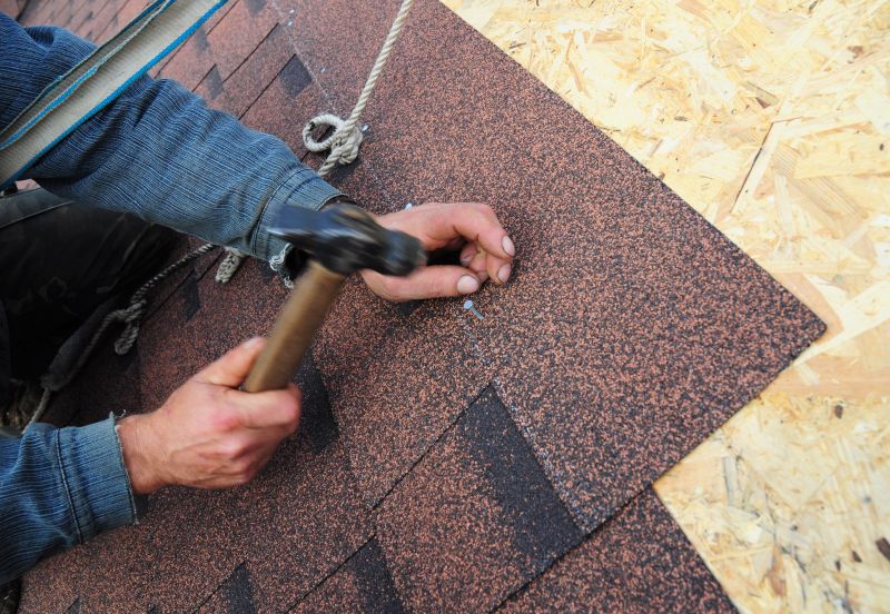 Shingles Repair