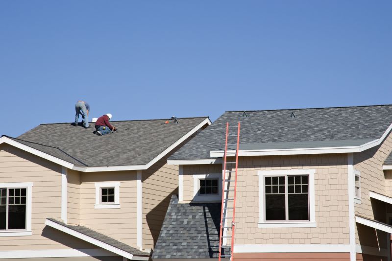 Shingles Repair