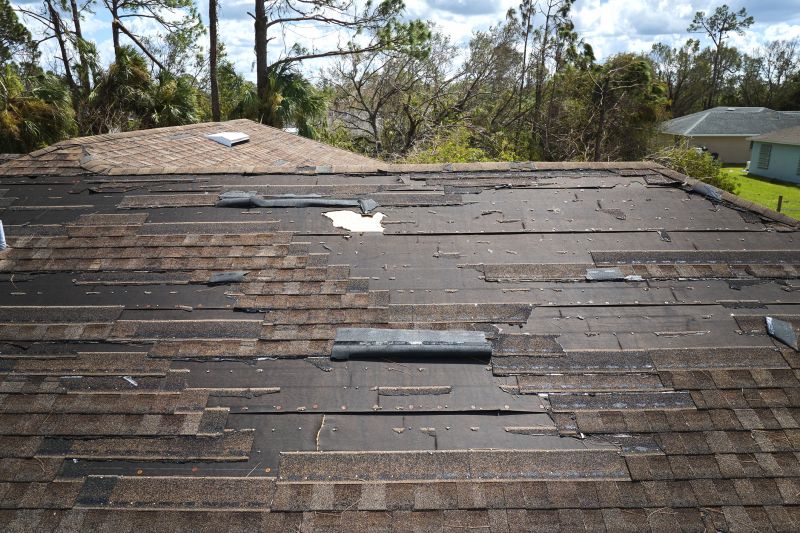 Shingles Damaged by Storms