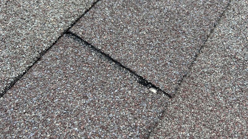 Repaired Shingles