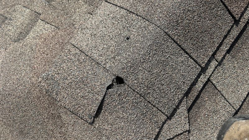 Damaged Shingles Close-Up