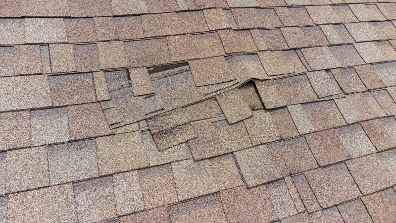 Damaged Shingles
