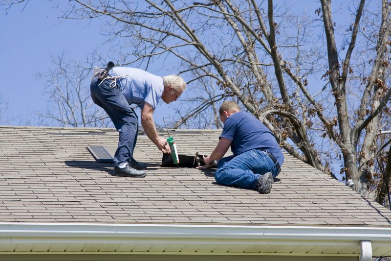 Local Shingles Repair pros at work